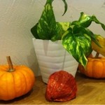 エリオ・アンティカ・フォルネリア - 