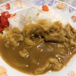 手打ちうどん ろだい - 半カレー アップ