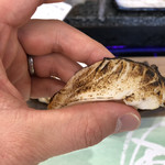 すし処金太郎 - 