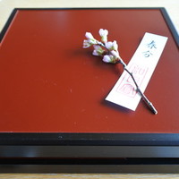 和田倉 - 【春の味覚】花見弁当「麗ーはるかー」