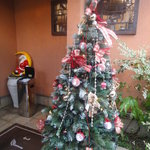 ビスキュイ - クリスマス近々～