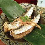 花海 - 鰯生姜煮