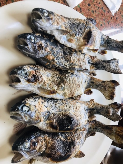 写真 ニジマスの釣り堀 民宿鱒池 上野村その他 魚介料理 海鮮料理 食べログ
