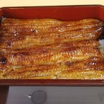 Unagi Yasukawa - きれいな鰻