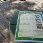 fuu cafe - お店のメニュー