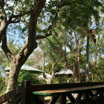 fuu cafe - お店の中庭１