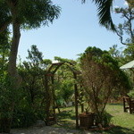 fuu cafe - お店の中庭２