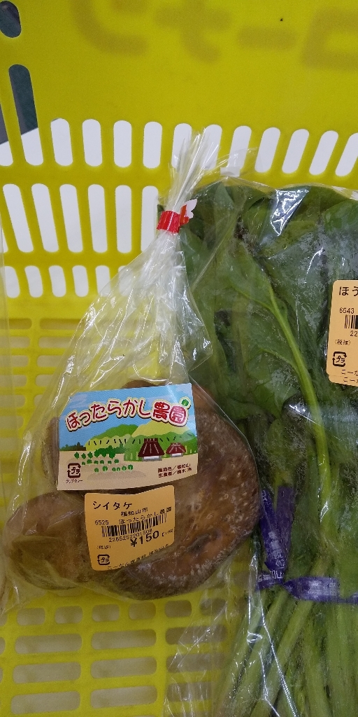 写真 ホームセンター コーナン 福知山店 福知山 その他 食べログ 写真 ホームセンター コーナン 福知山店 福知山 その他 食べログ