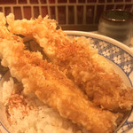 味奈登庵 - ええい面倒だ、いか天丼にもブチまけろ！  #BCMKR!