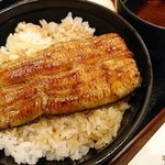 つきじ 宮川本廛 - ランチ丼の鰻アップ。