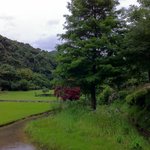 ワゼット スタイル - 