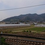 curry 冬椿 - 店の外の風景