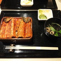うなぎ 目白ぞろ芽 - 