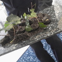 クイントカント - 