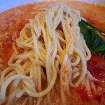 福龍香 - 福龍香 ＠南葛西 担々麺 細麺 アップ