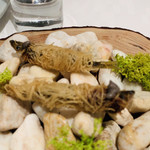 ア・ニュ ルトゥルヴェ・ヴー - 