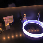 バーシャルジェ - 