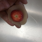 有限会社 稲田商会 - 