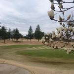 和食処　田舎家 - 7番ショート