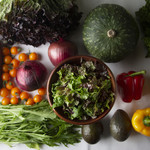 Botanical Garden SARU CAFE