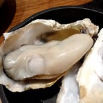 Sakana To Wain Ha Natare Za Fisshu Ando Oisuta-Zu - タイムセールの牡蠣