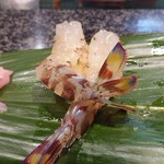 千石寿司 - 活け車海老