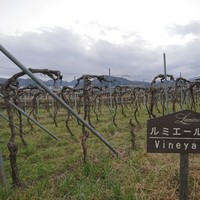 レストランゼルコバ - 