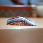 鮨 尚充 - ☆コハダ