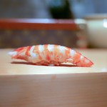 鮨 尚充 - ☆車海老