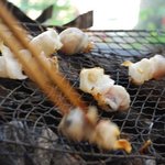 さぷら伊豆！渋谷の平日・伊豆の休日