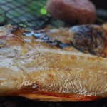 ひもの万宝商店 - さぷら伊豆！渋谷の平日・伊豆の休日