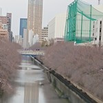 Maruka - 目黒新橋から、中目黒方面を眺めた♪