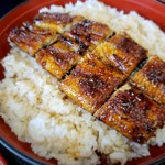 本部うなぎ屋 - 特丼