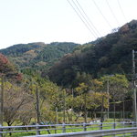 玉翠楼 - 里山のハイキングコースを歩きました