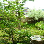 魚菜料理 縄屋 - 素敵なお庭