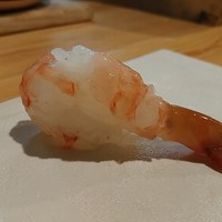 豊鮨 - ぼたん海老