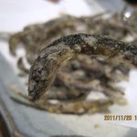 甲子屋 - こんにちは～