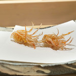 にい留 - 車海老頭