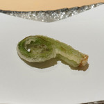 にい留 - 雁足（こごみの親戚）