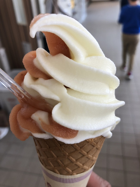 とちぎ花センター 岩舟 カフェ 食べログ