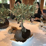 El Celler de Can Roca - ★9オリーブの木