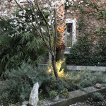 El Celler de Can Roca - 日本庭園風。アーモンドの花。桜にそっくり