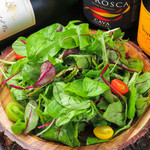 herbal vegetable green salad