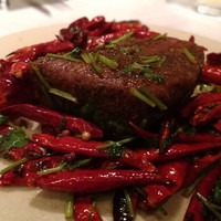 CINA New Modern Chinese - 