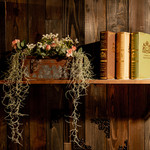 個室×肉寿司 まんぷく屋 池袋店