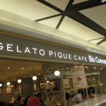 gelato pique cafe bio concept - 