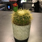 ABaC RESTAURANT & HOTEL - ★8.5 Lime cactus, tequila and green leaves