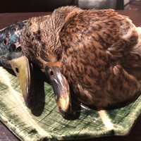 たでの葉 - 天然尾長鴨の夫婦（鹿児島一色産）。いかに殺生とは言え、もの凄く切なくなる。