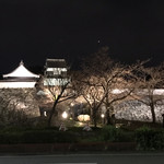 Yakitori Nikushin - この日、福岡城の桜はまだつぼみでした