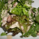 緑健野菜のグリーンサラダ